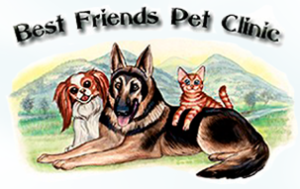 Best Friends Pet Clinic